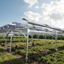 Solar Farm Agriculture Mounting Structure
